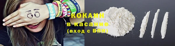 мяу мяу мука Касимов